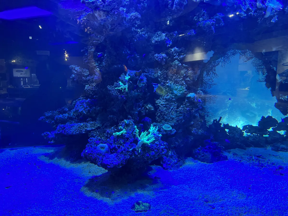 Lotte World Aquarium